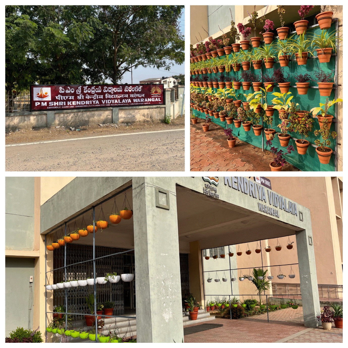 पीएम श्री केवी वारंगल ने योजना के तहत स्कूल के प्रवेश द्वार पर वर्टिकल और हैंगिंग गार्डन विकसित किया है