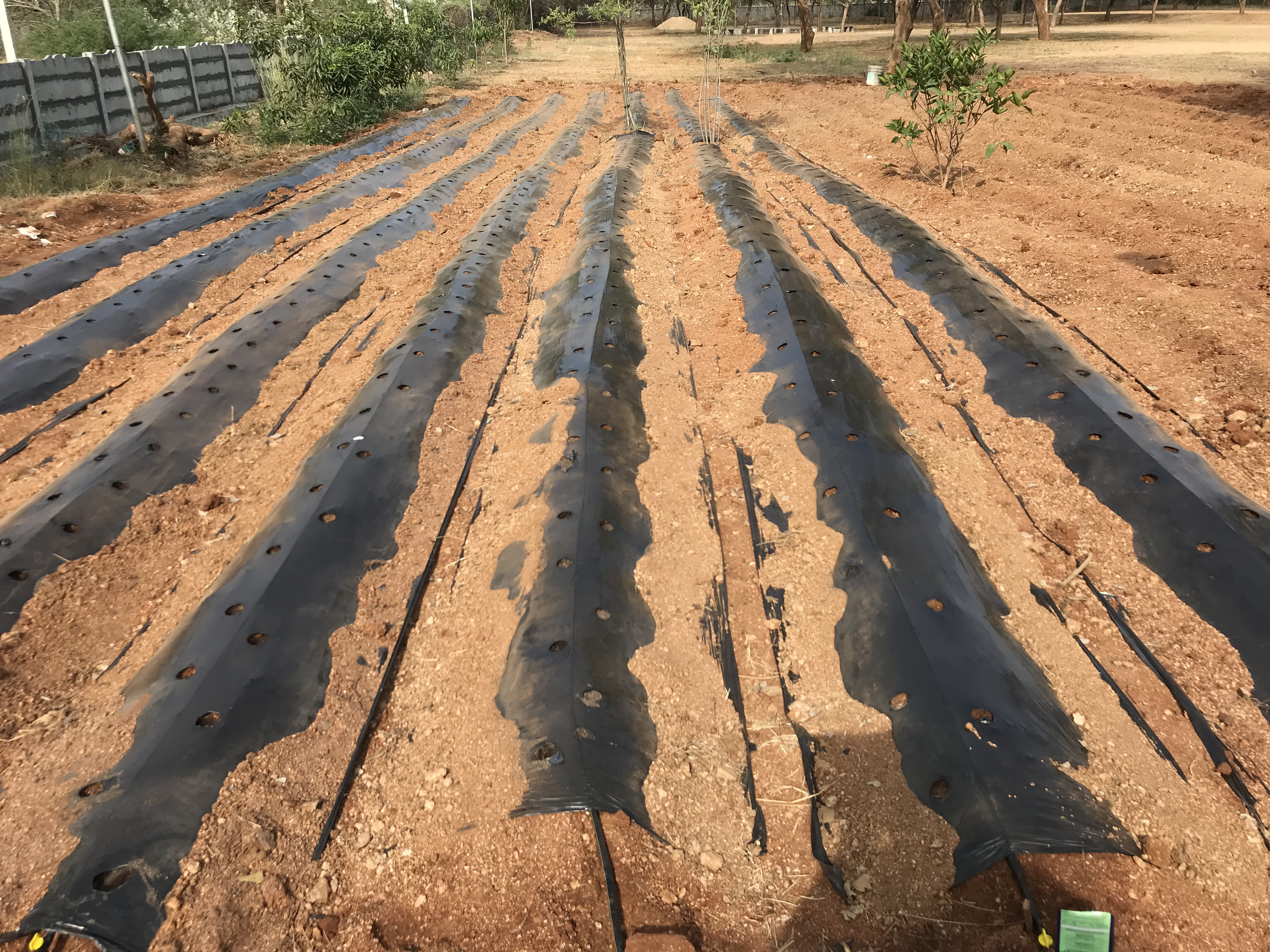 सर्वोत्तम प्रथाएं