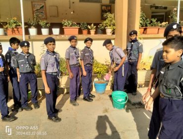 Scout and Guides