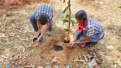 GREEN PLANTATION