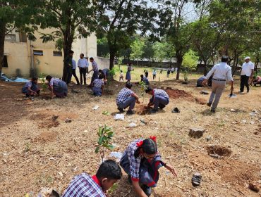 GREEN PLANTATION
