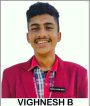 Vighnesh B