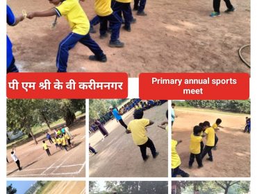 Sports meet Primary