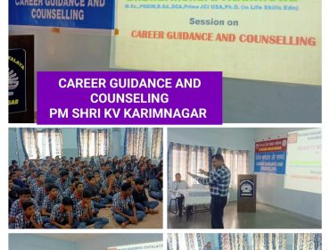 guidance and career counselling (2)