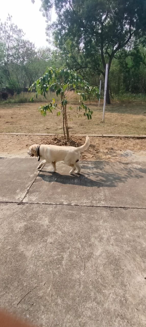 training by national disaster management authority