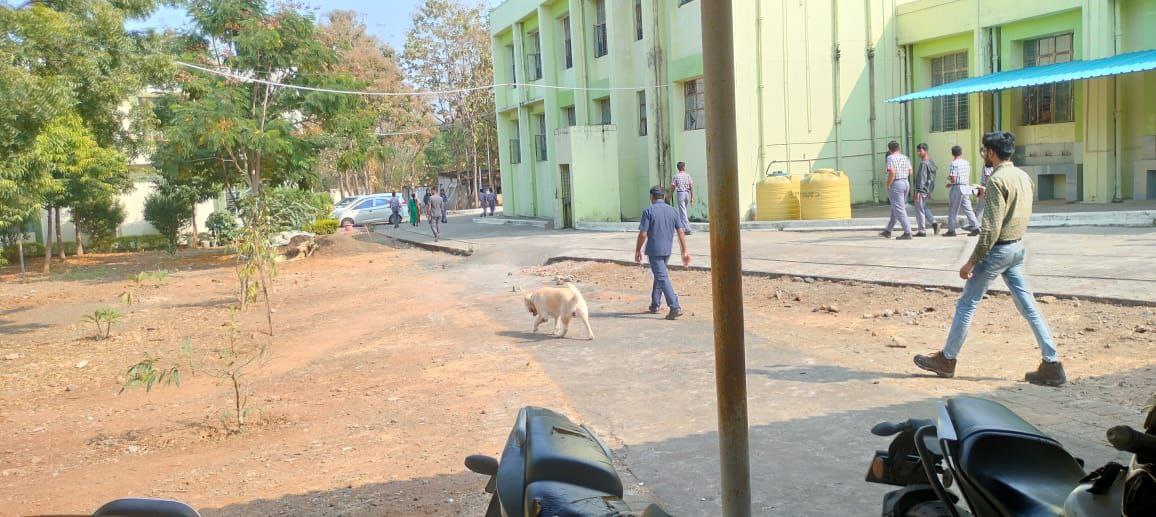 training by national disaster management authority