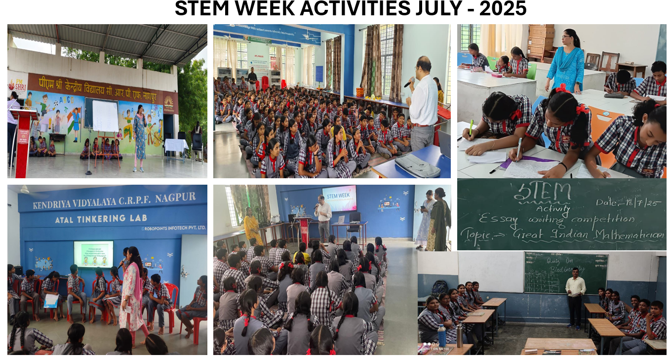 stem week activitiy July 2025