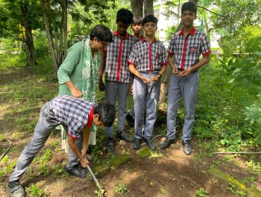 weeding 1