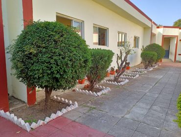 School Campus