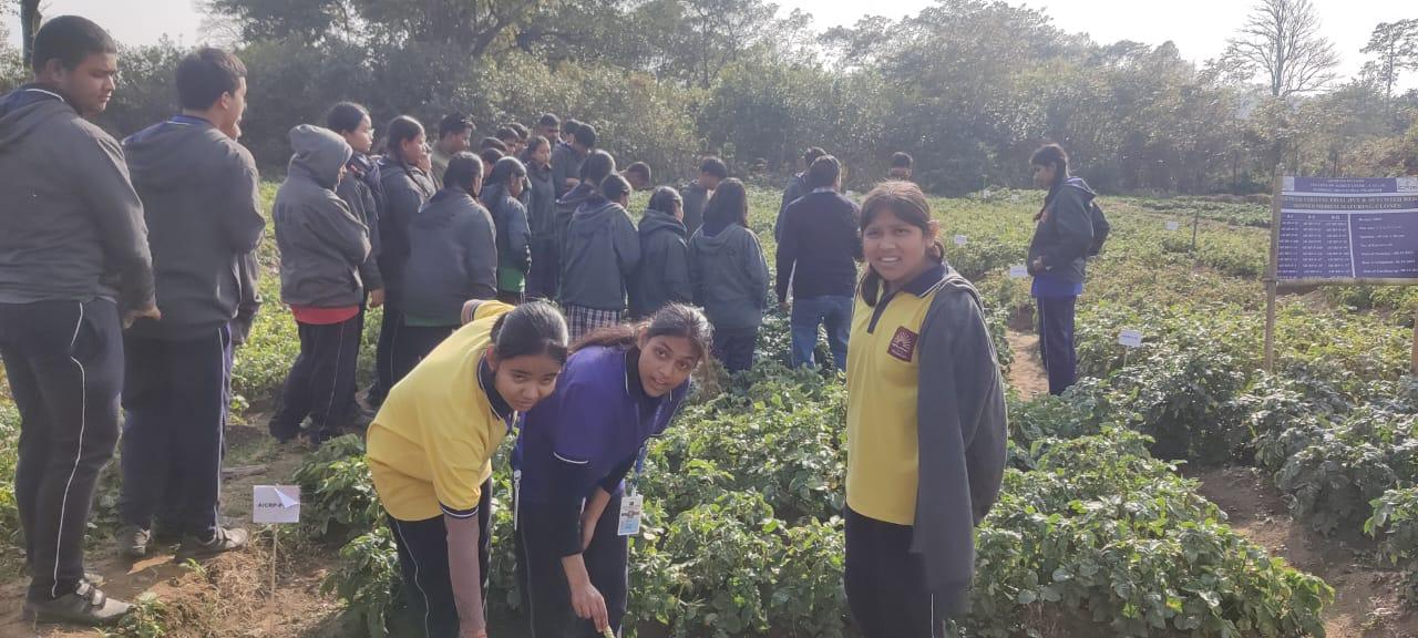 अध्ययन यात्रा