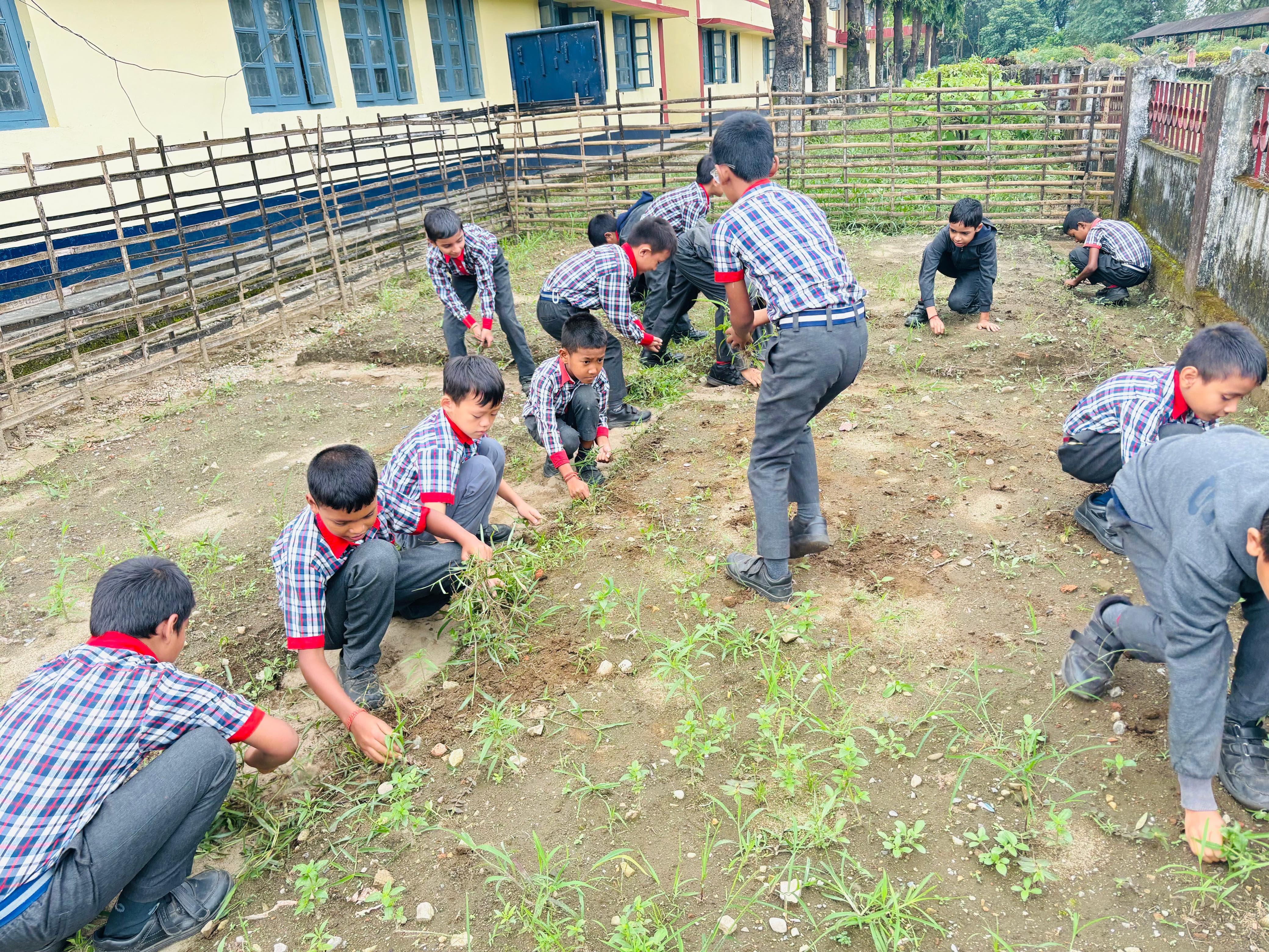 KITCHEN GARDEN