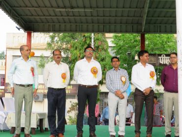 वार्षिक पैनल निरीक्षण