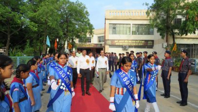 वार्षिक पैनल निरीक्षण