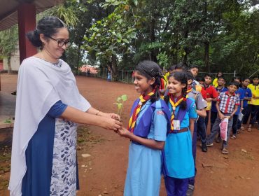 विश्व पर्यावरण दिवस 2024 पौधा वितरण