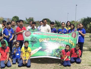 tree planting picture