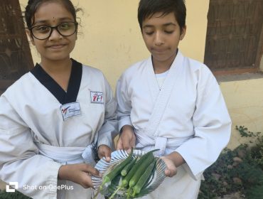 आँगन-सागबाड़ी