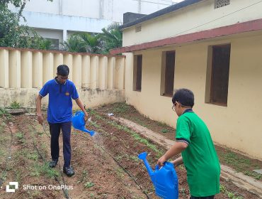 आँगन-सागबाड़ी