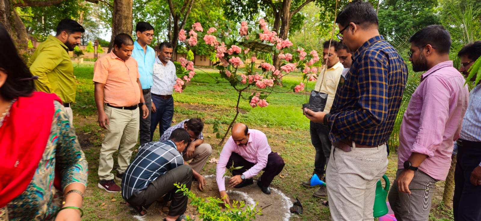Hon'ble DC Shri D P Patel is planting sampling on the occasion of World Environment Day 2024