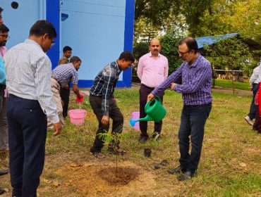 Plantation by Staff of KVS Ro, Ranchi on the occasion of World Environment Day 2024
