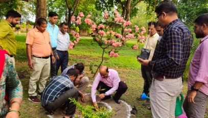 Hon'ble DC Shri D P Patel is planting sampling on the occasion of World Environment Day 2024