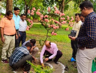 Hon'ble DC Shri D P Patel is planting sampling on the occasion of World Environment Day 2024