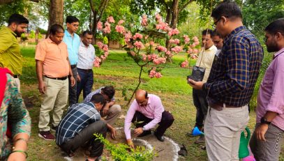 Hon'ble DC Shri D P Patel is planting sampling on the occasion of World Environment Day 2024