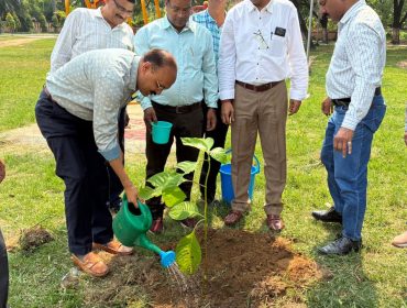 World Environment Day – Day 3