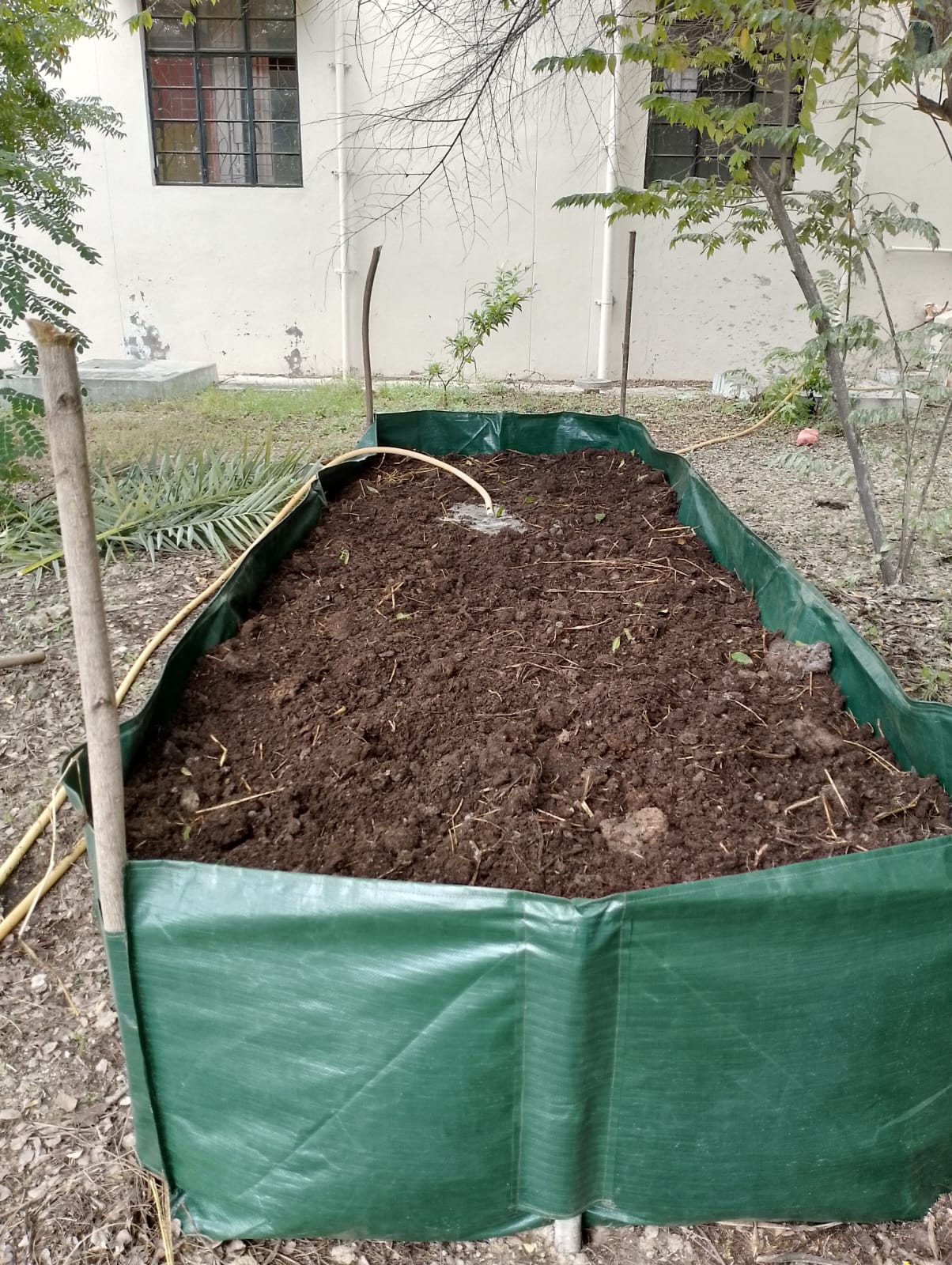 Vermi Compost
