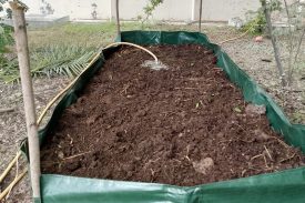 Vermi Compost