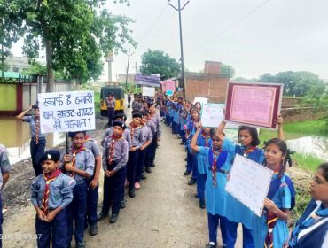 स्काउट्स