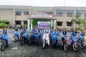 स्काउट्स