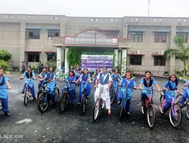 स्काउट्स