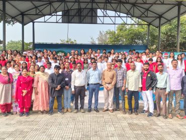 christmas celebrations (8)