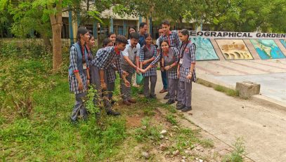 वृक्षारोपण अभियान