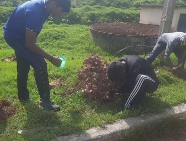 plantation drive 1