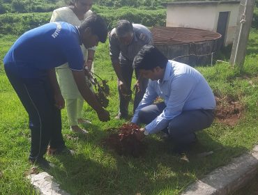 वृक्षारोपण अभियान