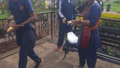 सफ़ाई गतिविधि