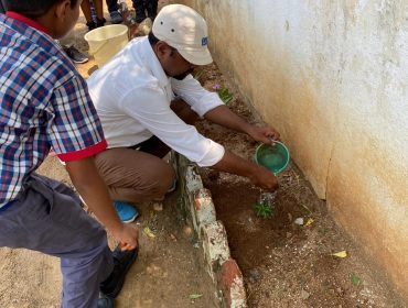पर्यावरण डि