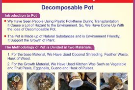 DECOMPOSABLE POT