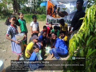 विश्व पर्यावरण दिवस