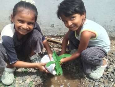 विश्व पर्यावरण दिवस