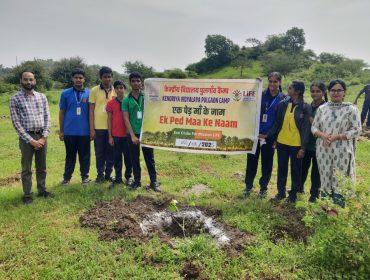 एक पेड़ माँ के नाम