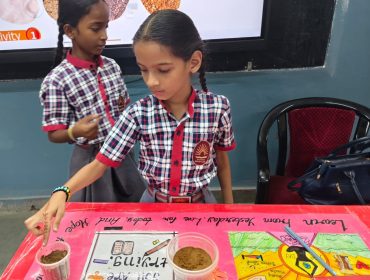 primary activity-7