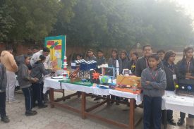 science fair3