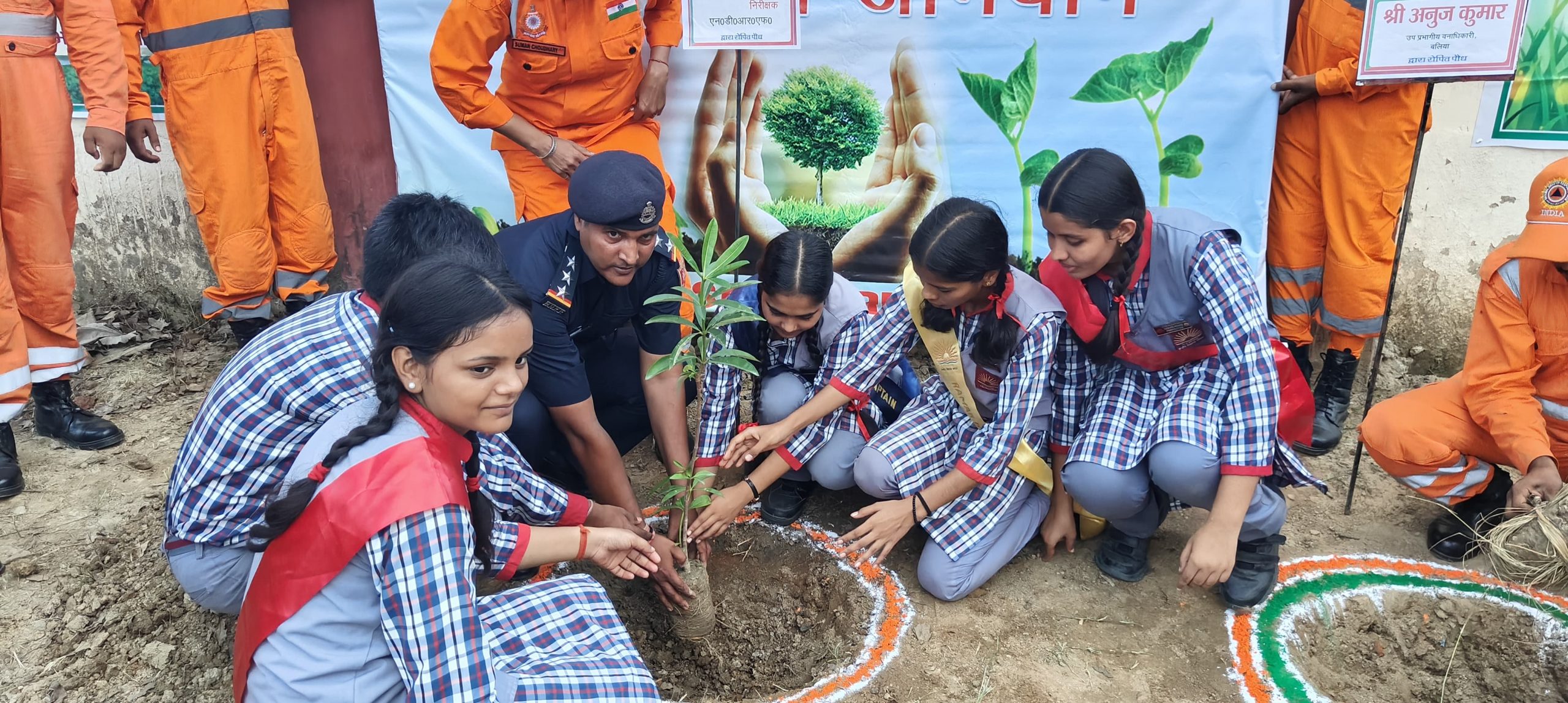Tree Plantation Drive