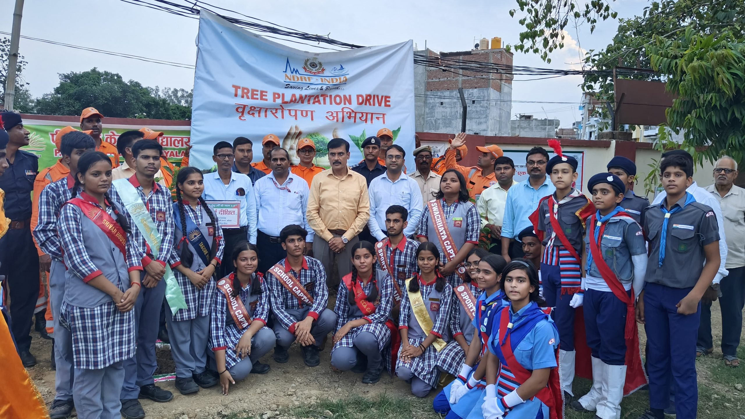 Tree Plantation Drive