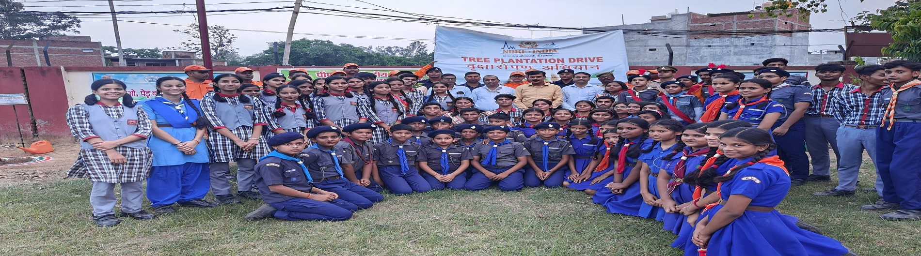 Tree Plantation Drive By DM Ballia