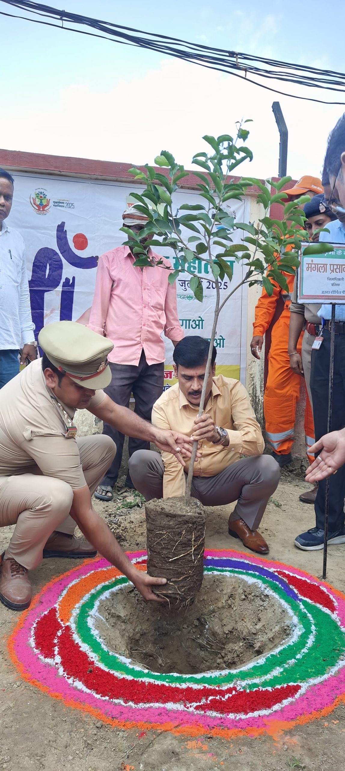 Tree Plantation Drive
