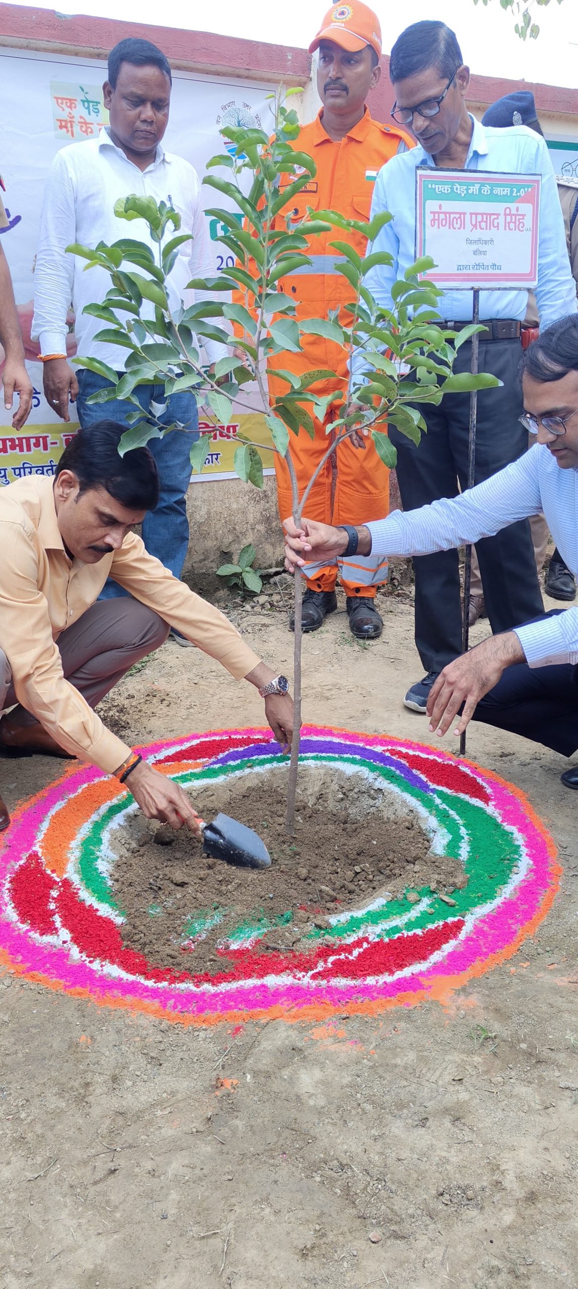 Tree Plantation Drive