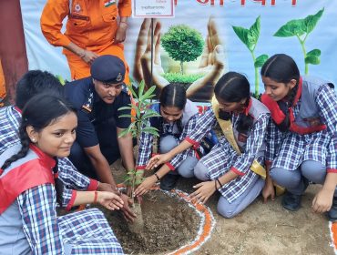 Tree Plantation Drive